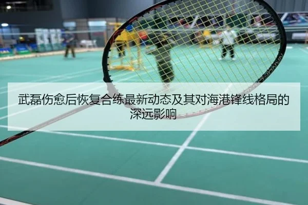 武磊伤愈后恢复合练最新动态及其对海港锋线格局的深远影响